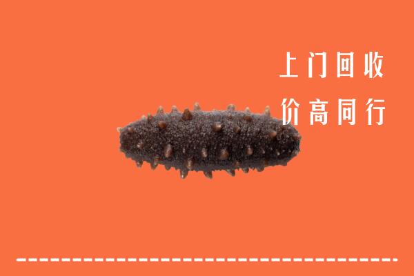 高价求购：大田县回收海参
