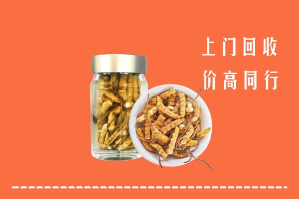 收购行情：大田县回收冬虫夏草