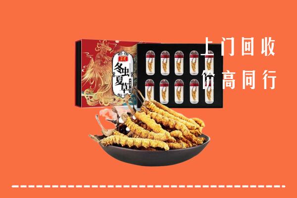 收购行情：大田县回收虫草